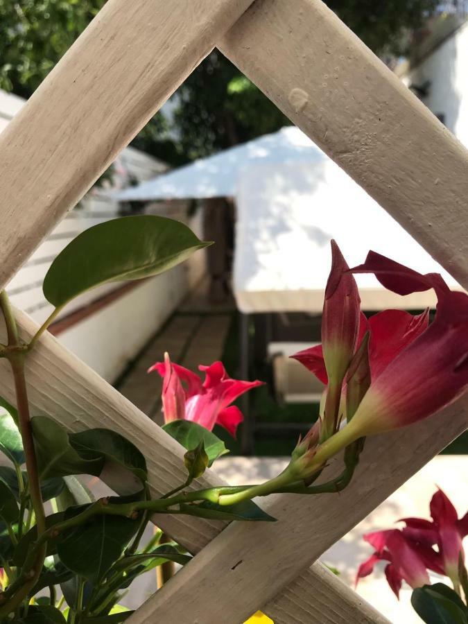 Virgilio'S Garden Bed and Breakfast Castellammare di Stabia Εξωτερικό φωτογραφία